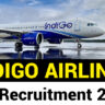 Indigo Airlines Job 2024