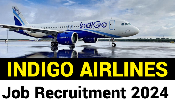 Indigo Airlines Job 2024